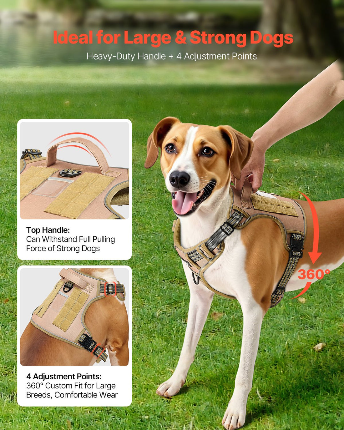 Best Dog Harness for Daily Walking in Everywhere