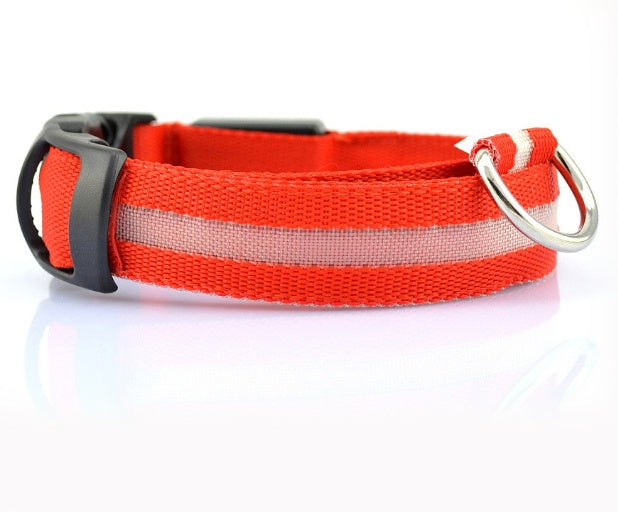GlowSafe LED Dog Collar for Night Walks