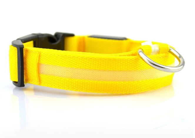 GlowSafe LED Dog Collar for Night Walks