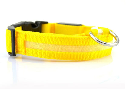 GlowSafe LED Dog Collar for Night Walks