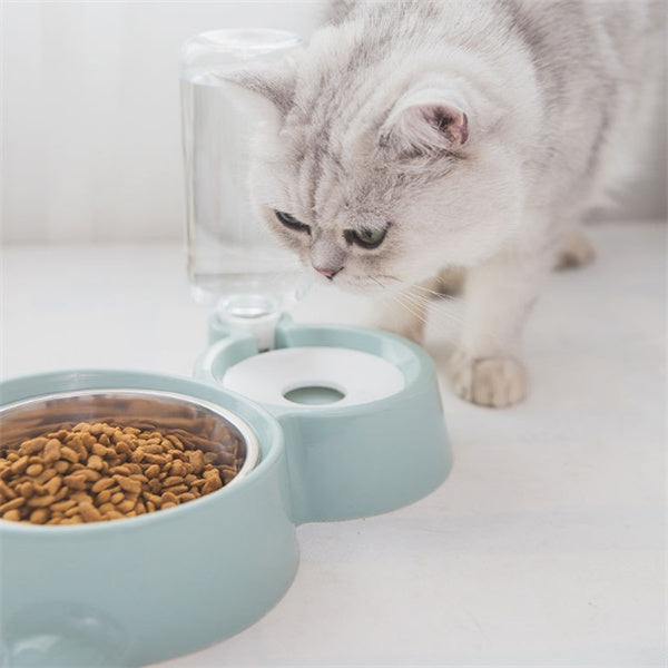 HappyFeed Dog Bowl for Cleaner, Healthier Mealtimes