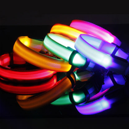 GlowSafe LED Dog Collar for Night Walks