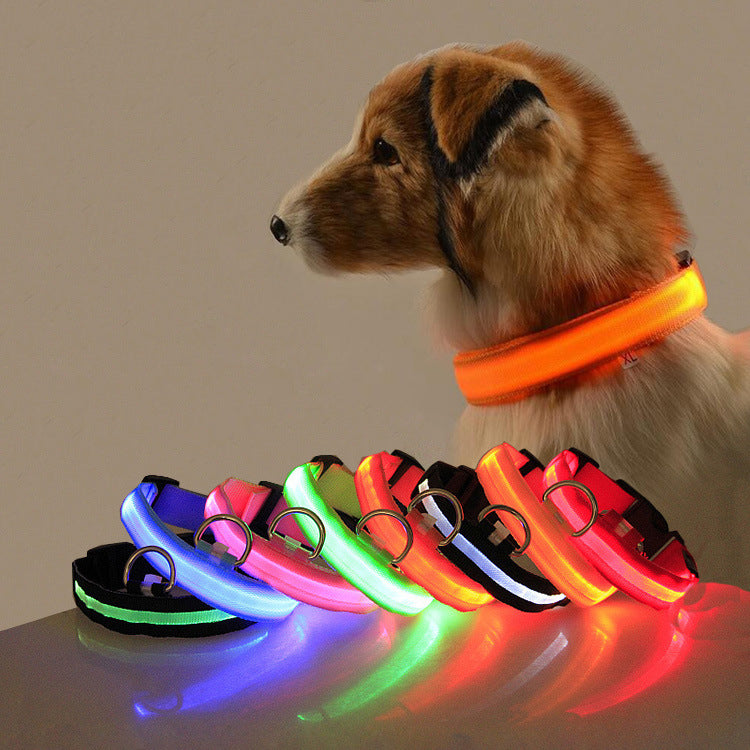 GlowSafe LED Dog Collar for Night Walks