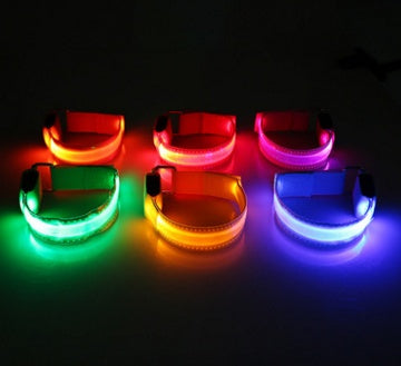 GlowSafe LED Dog Collar for Night Walks